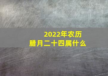 2022年农历腊月二十四属什么