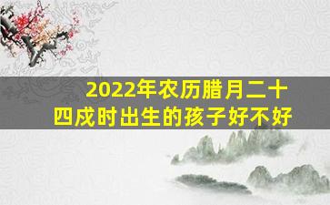 2022年农历腊月二十四戍时出生的孩子好不好