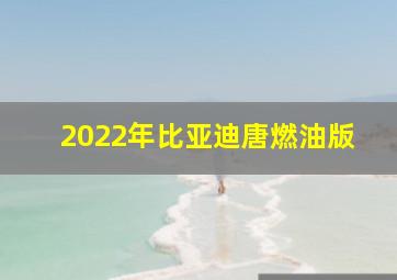 2022年比亚迪唐燃油版