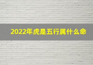 2022年虎是五行属什么命