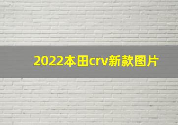 2022本田crv新款图片