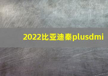 2022比亚迪秦plusdmi