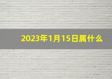 2023年1月15日属什么