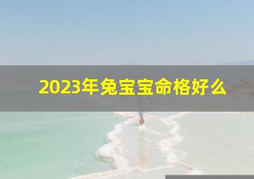 2023年兔宝宝命格好么