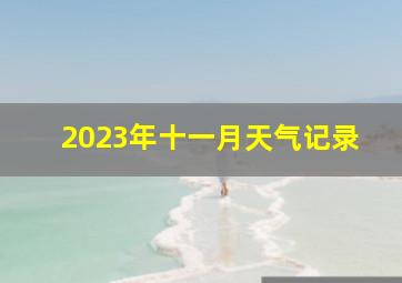 2023年十一月天气记录