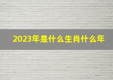 2023年是什么生肖什么年