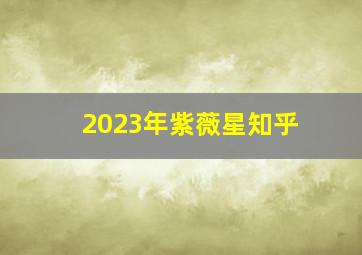 2023年紫薇星知乎