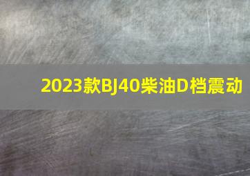 2023款BJ40柴油D档震动