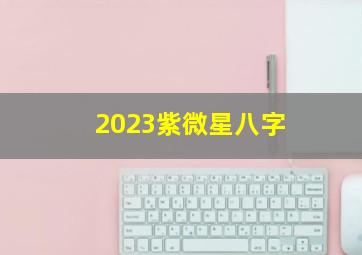 2023紫微星八字