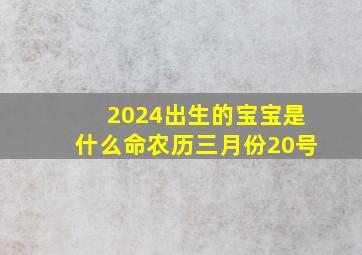 2024出生的宝宝是什么命农历三月份20号