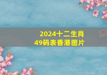 2024十二生肖49码表香港图片