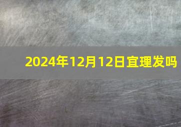 2024年12月12日宜理发吗