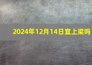 2024年12月14日宜上梁吗