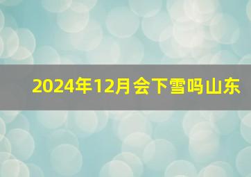 2024年12月会下雪吗山东