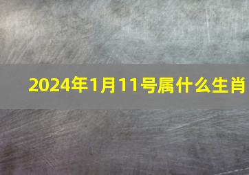 2024年1月11号属什么生肖