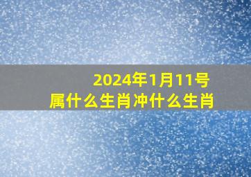 2024年1月11号属什么生肖冲什么生肖