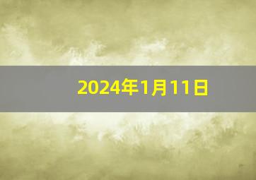 2024年1月11日