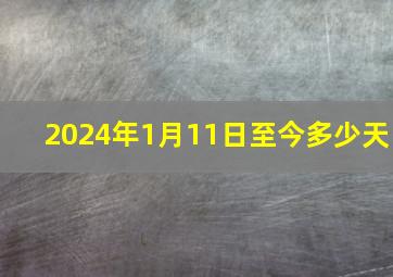 2024年1月11日至今多少天