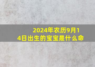 2024年农历9月14日出生的宝宝是什么命