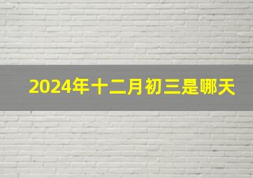 2024年十二月初三是哪天