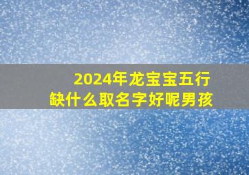 2024年龙宝宝五行缺什么取名字好呢男孩