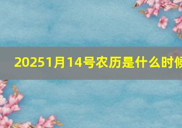 20251月14号农历是什么时候