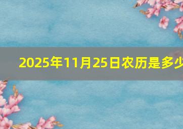 2025年11月25日农历是多少