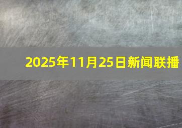 2025年11月25日新闻联播