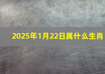 2025年1月22日属什么生肖