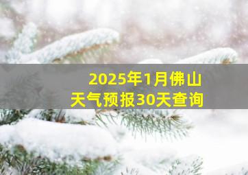 2025年1月佛山天气预报30天查询