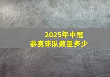 2025年中冠参赛球队数量多少