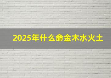 2025年什么命金木水火土