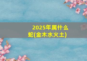 2025年属什么蛇(金木水火土)