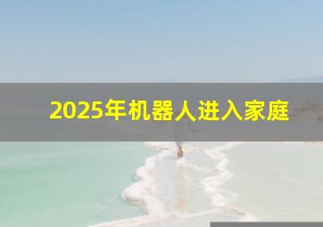 2025年机器人进入家庭