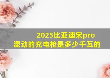 2025比亚迪宋pro混动的充电枪是多少千瓦的