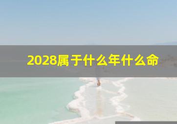 2028属于什么年什么命