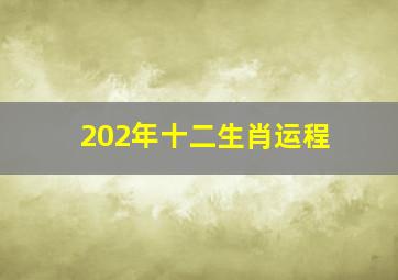 202年十二生肖运程