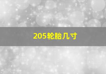 205轮胎几寸