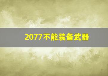 2077不能装备武器