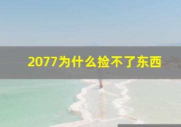 2077为什么捡不了东西