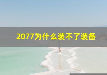 2077为什么装不了装备