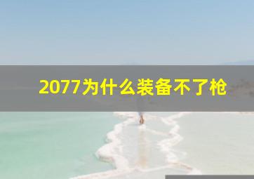 2077为什么装备不了枪