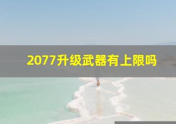 2077升级武器有上限吗