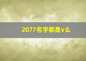 2077名字都是v么