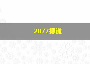 2077摁键