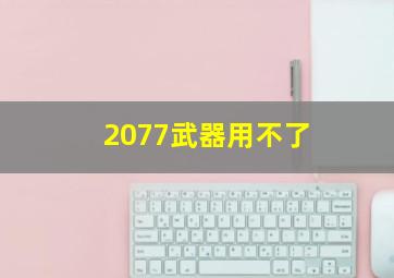 2077武器用不了