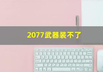 2077武器装不了