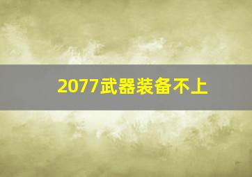 2077武器装备不上