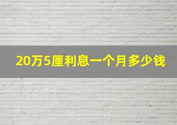 20万5厘利息一个月多少钱