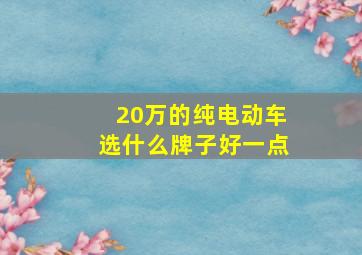 20万的纯电动车选什么牌子好一点